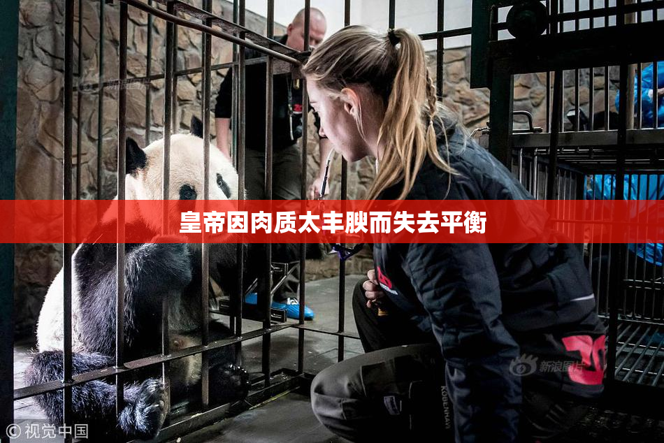 皇帝因肉质太丰腴而失去平衡