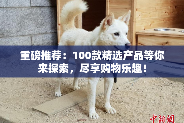 重磅推荐：100款精选产品等你来探索，尽享购物乐趣！