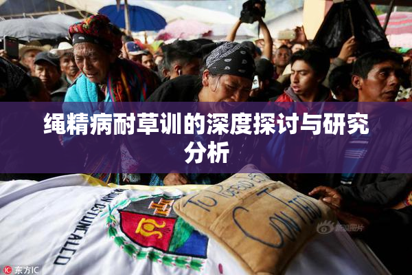 绳精病耐草训的深度探讨与研究分析