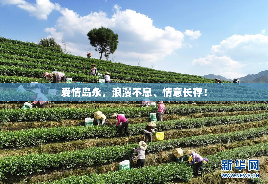 爱情岛永，浪漫不息、情意长存！
