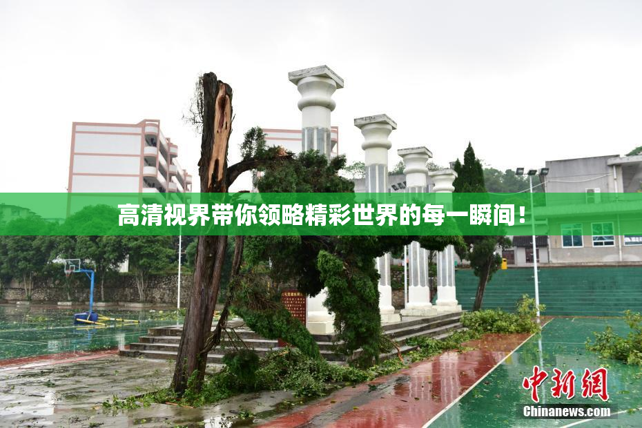 高清视界带你领略精彩世界的每一瞬间！