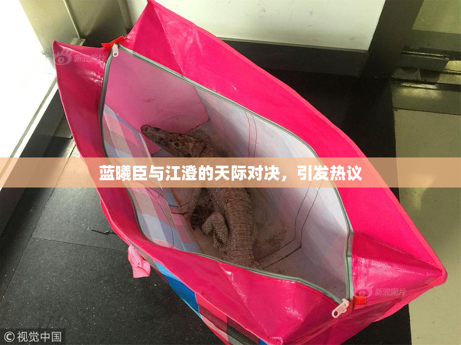 蓝曦臣与江澄的天际对决，引发热议