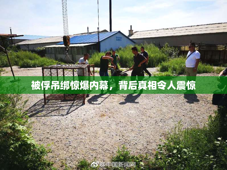 被俘吊绑惊爆内幕，背后真相令人震惊