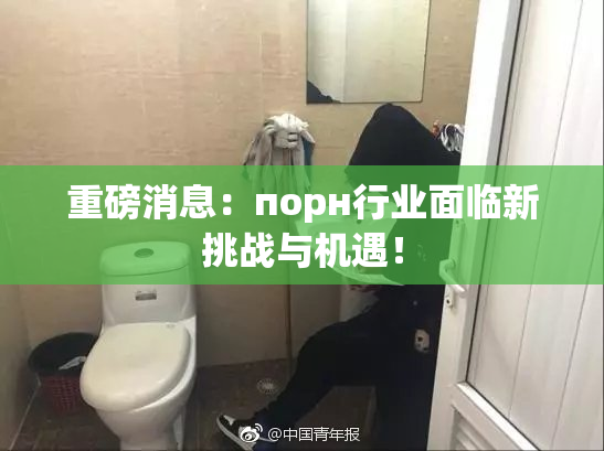 重磅消息：порн行业面临新挑战与机遇！