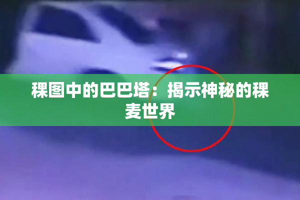 稞图中的巴巴塔：揭示神秘的稞麦世界