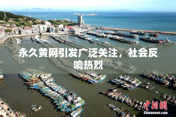 永久黄网引发广泛关注，社会反响热烈