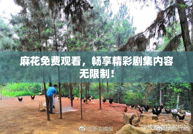 麻花免费观看，畅享精彩剧集内容无限制！