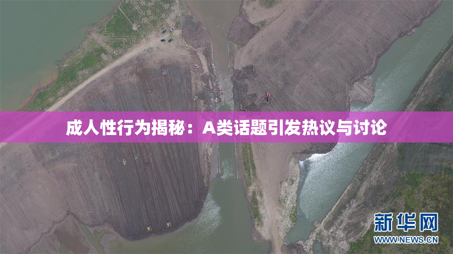 成人性行为揭秘：A类话题引发热议与讨论