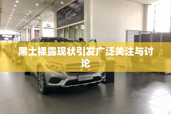 黑土裸露现状引发广泛关注与讨论