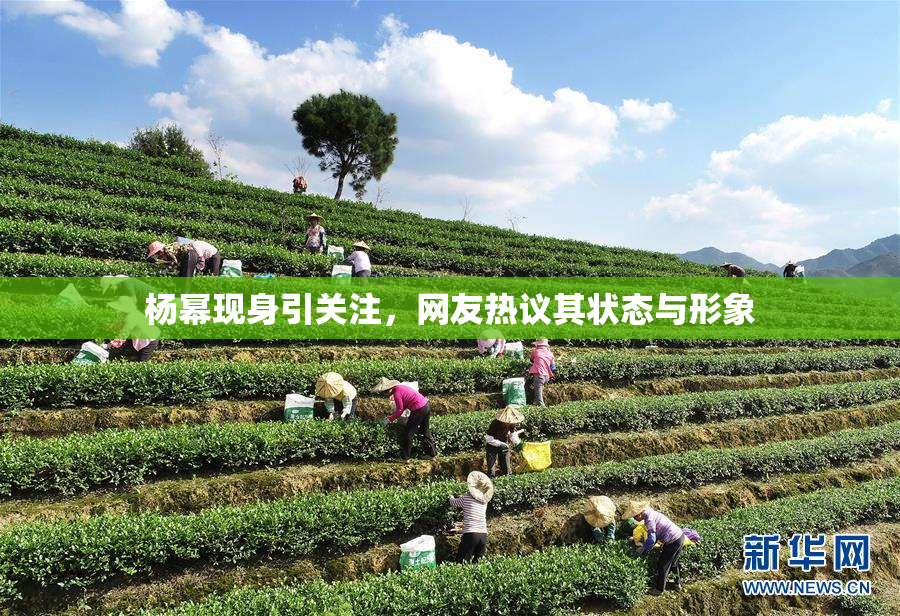 杨幂现身引关注，网友热议其状态与形象