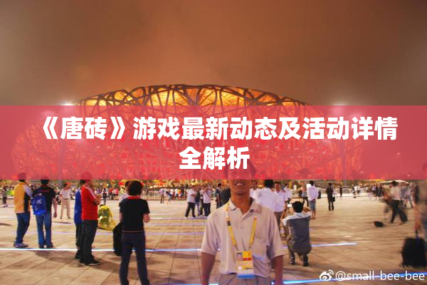 《唐砖》游戏最新动态及活动详情全解析