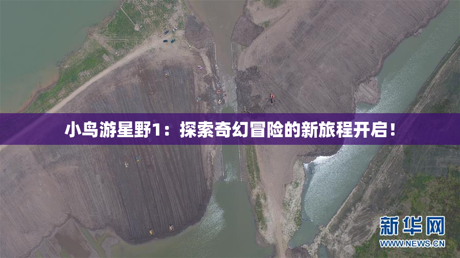 小鸟游星野1：探索奇幻冒险的新旅程开启！