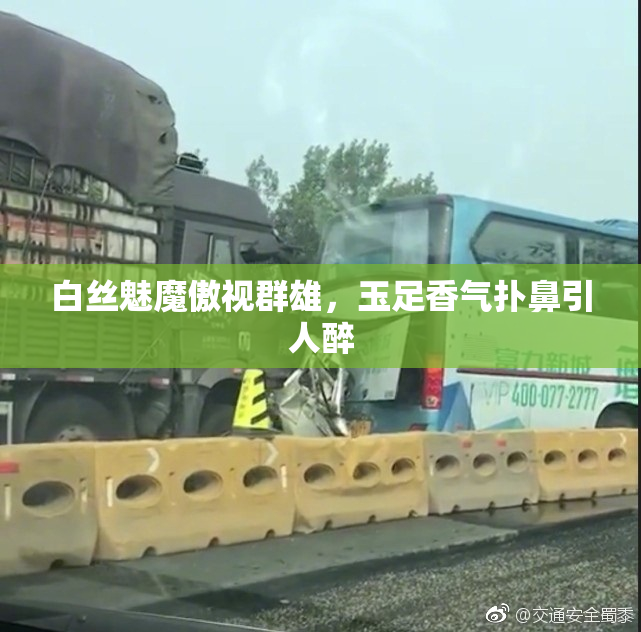 白丝魅魔傲视群雄，玉足香气扑鼻引人醉