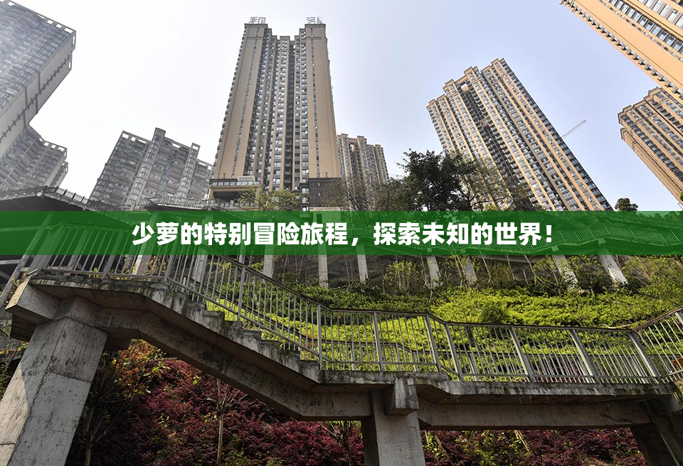 少萝的特别冒险旅程，探索未知的世界！