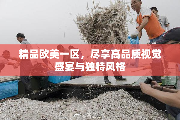 精品欧美一区，尽享高品质视觉盛宴与独特风格