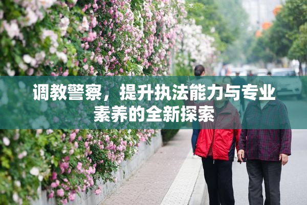 调教警察，提升执法能力与专业素养的全新探索