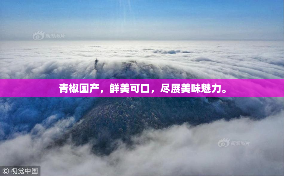 青椒国产，鲜美可口，尽展美味魅力。