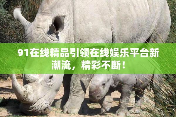 91在线精品引领在线娱乐平台新潮流，精彩不断！