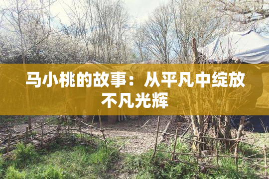马小桃的故事：从平凡中绽放不凡光辉