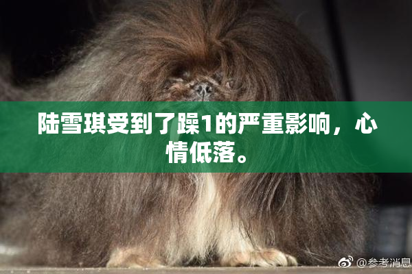 陆雪琪受到了躁1的严重影响，心情低落。