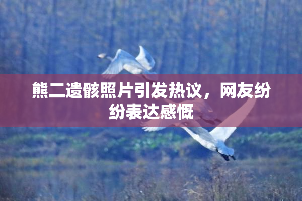 熊二遗骸照片引发热议，网友纷纷表达感慨