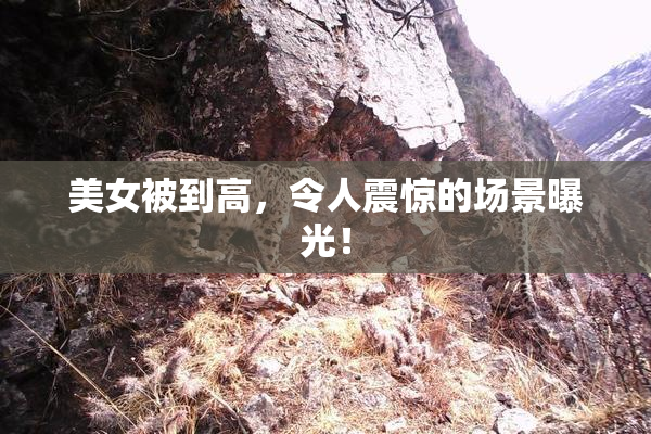 美女被到高，令人震惊的场景曝光！