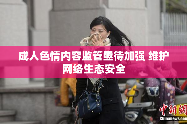 成人色情内容监管亟待加强 维护网络生态安全
