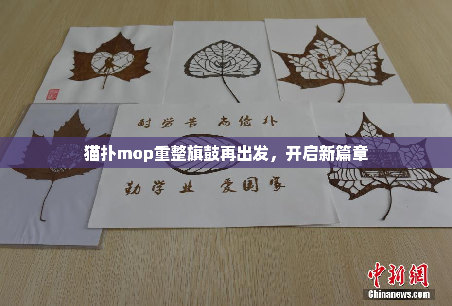 猫扑mop重整旗鼓再出发，开启新篇章