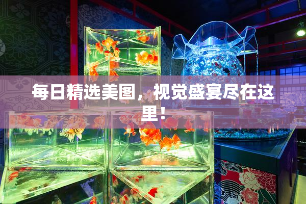 每日精选美图，视觉盛宴尽在这里！