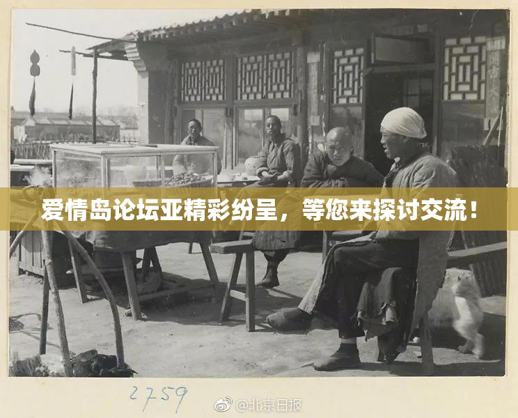 爱情岛论坛亚精彩纷呈，等您来探讨交流！