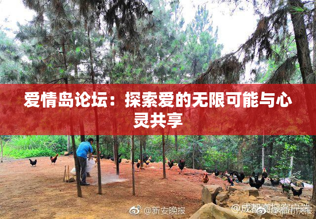 爱情岛论坛：探索爱的无限可能与心灵共享