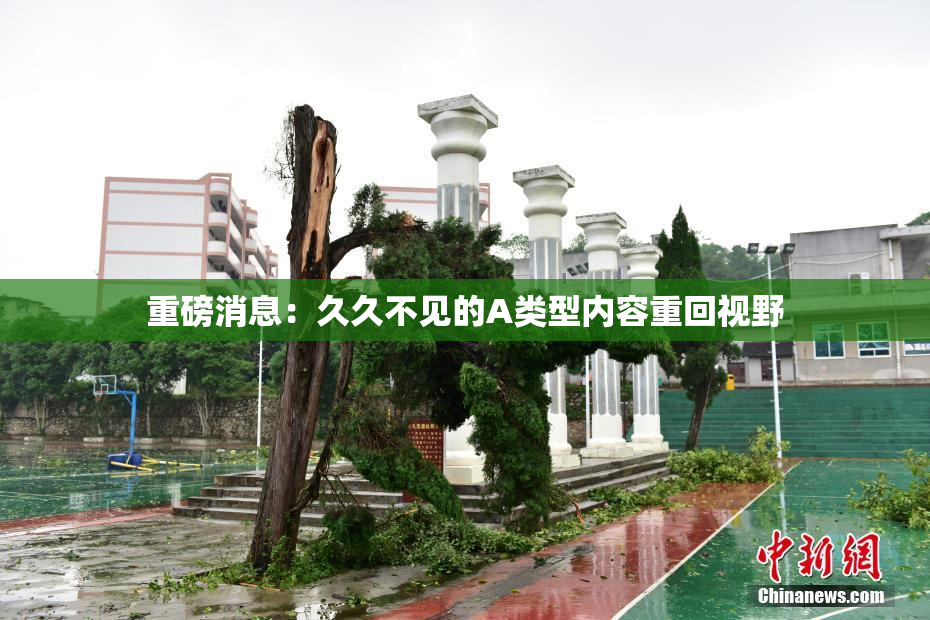 重磅消息：久久不见的A类型内容重回视野