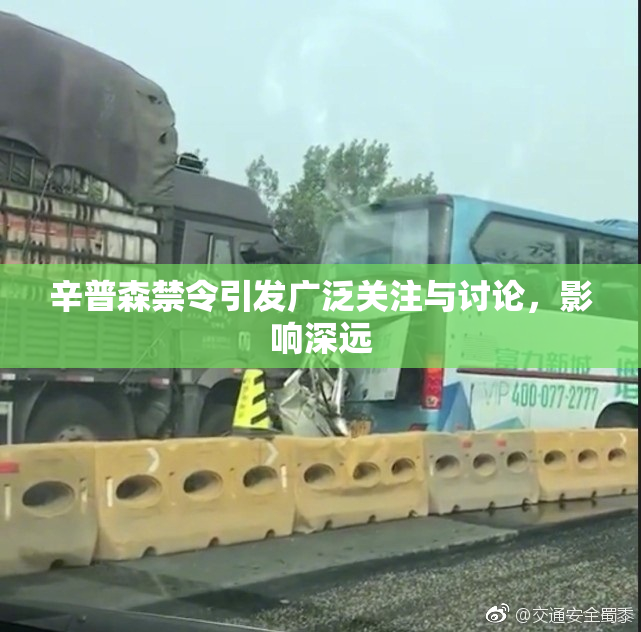辛普森禁令引发广泛关注与讨论，影响深远