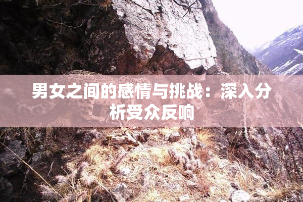 男女之间的感情与挑战：深入分析受众反响