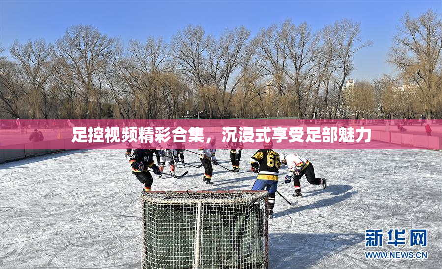 足控视频精彩合集，沉浸式享受足部魅力