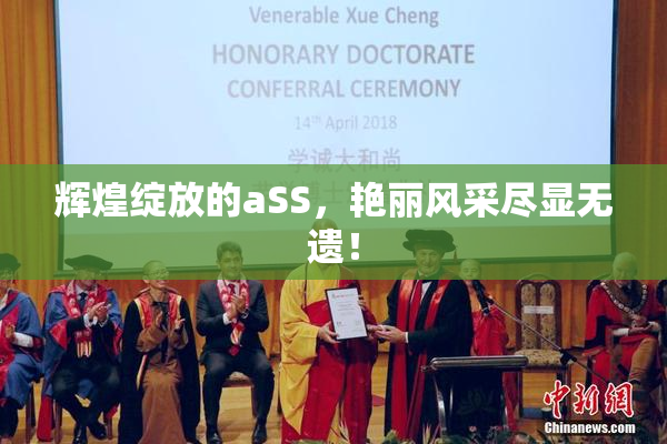 辉煌绽放的aSS，艳丽风采尽显无遗！