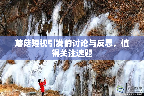 蘑菇短视引发的讨论与反思，值得关注选题