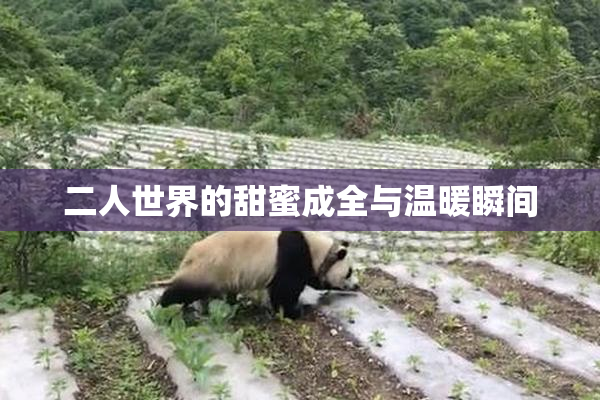 二人世界的甜蜜成全与温暖瞬间