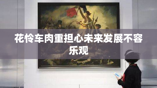 花怜车肉重担心未来发展不容乐观