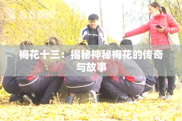 梅花十三：揭秘神秘梅花的传奇与故事