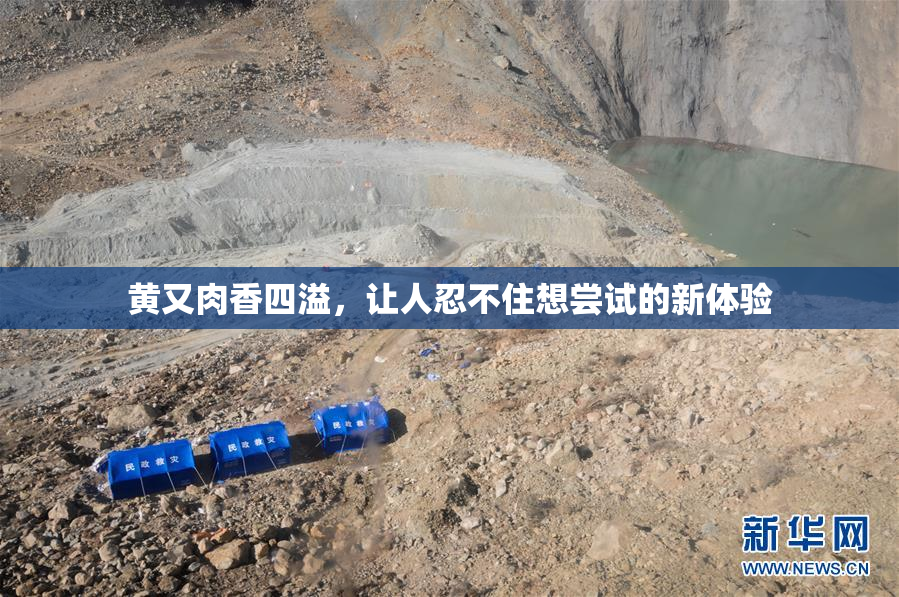 黄又肉香四溢，让人忍不住想尝试的新体验