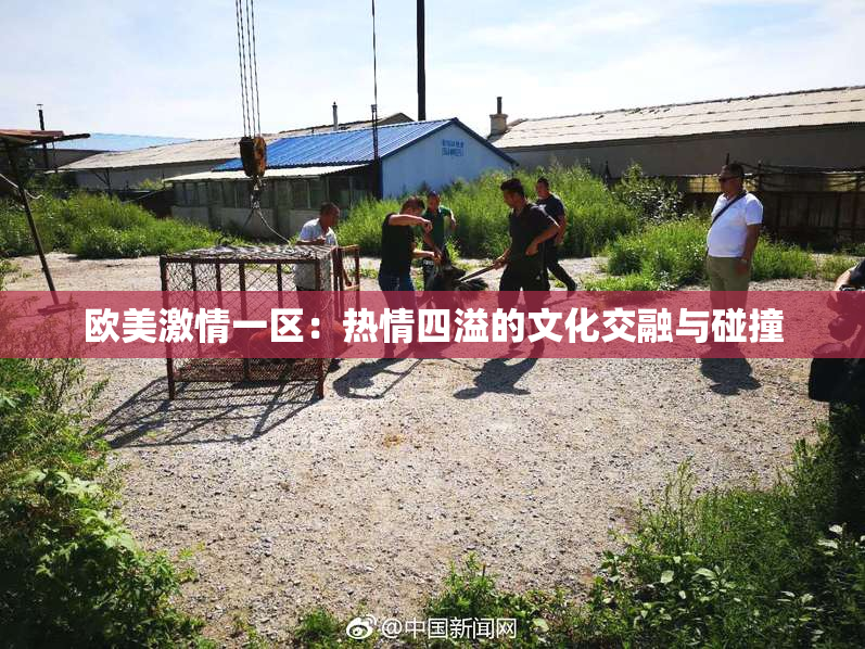 欧美激情一区：热情四溢的文化交融与碰撞