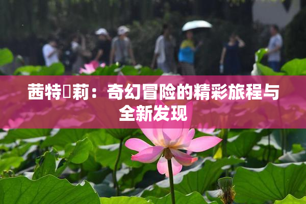 茜特菈莉：奇幻冒险的精彩旅程与全新发现