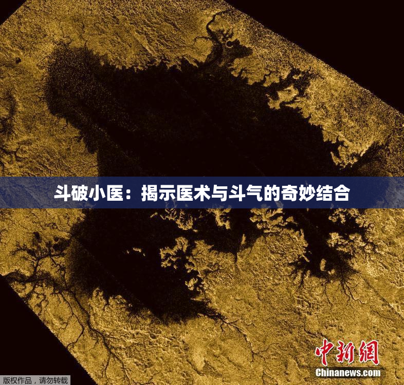 斗破小医：揭示医术与斗气的奇妙结合
