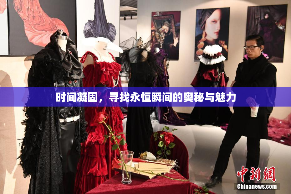 时间凝固，寻找永恒瞬间的奥秘与魅力