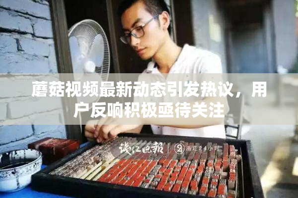 蘑菇视频最新动态引发热议，用户反响积极亟待关注