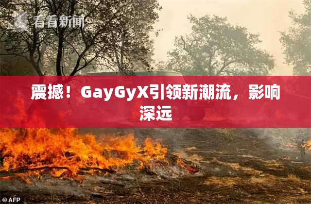 震撼！GayGyX引领新潮流，影响深远