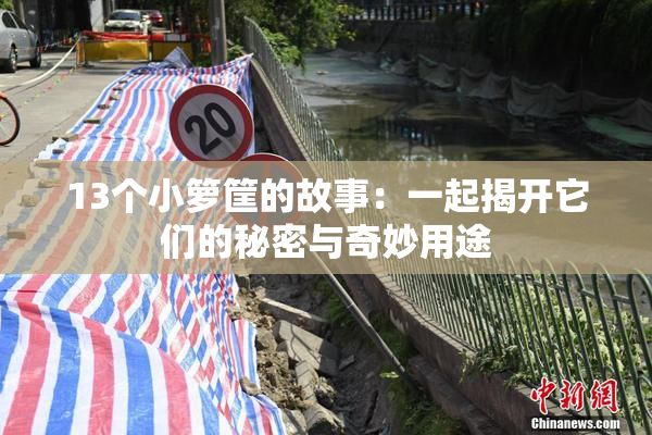 13个小箩筐的故事：一起揭开它们的秘密与奇妙用途