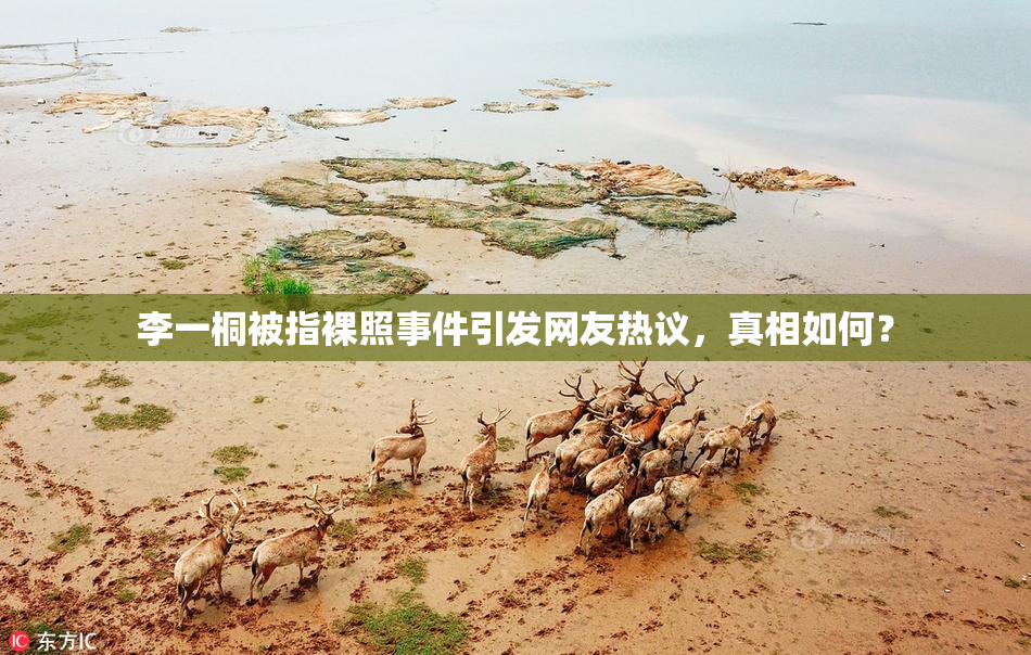 李一桐被指裸照事件引发网友热议，真相如何？