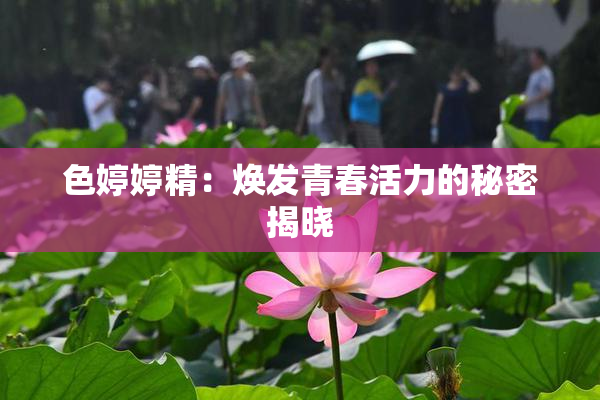 色婷婷精：焕发青春活力的秘密揭晓